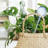 Waterdruppelaar Voor Planten - 4 Stuks - Blauw - PVC