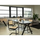 Workliving - Bas Eetkamerstoel - Rotan Design Zwart