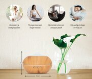 Laralina - Sun Shine Pro - Light Wood - Aroma Diffuser