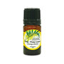 100% Zuivere Etherische Olie Ylang-Ylang 5 ml